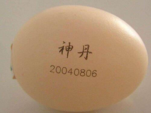 鸡蛋上激光打标图1 鸡蛋上激光打标图1